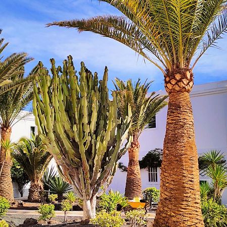 Flor De Las Dunas Pools Wifi Tennis Bikes For Free Corralejo Buitenkant foto