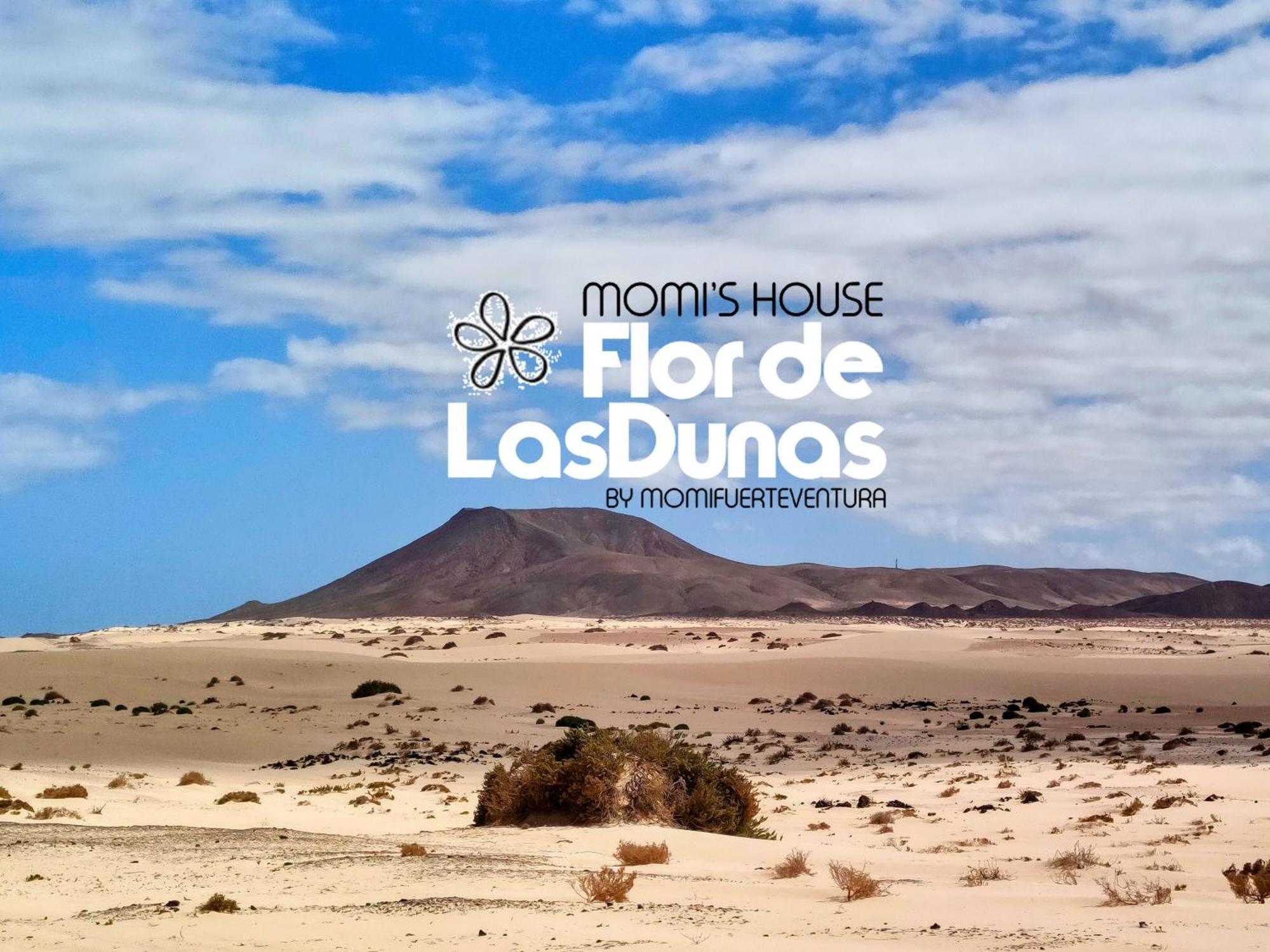 Flor De Las Dunas Pools Wifi Tennis Bikes For Free Corralejo Buitenkant foto